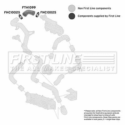 Charge Air Hose (FTH1099)
