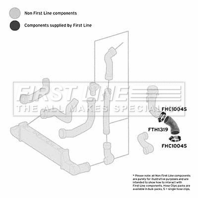 Charge Air Hose (FTH1319)
