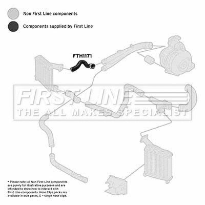 Charge Air Hose (FTH1171)