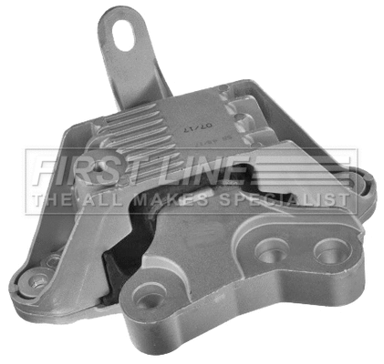 Mounting, engine (FEM4320)