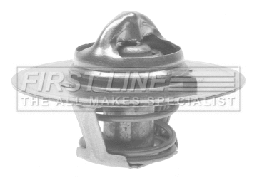 Thermostat, coolant (FTS113.90)