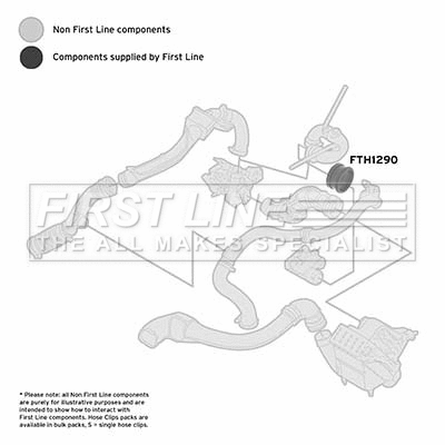 Charge Air Hose (FTH1290)
