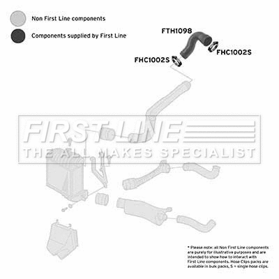 Charge Air Hose (FTH1098)