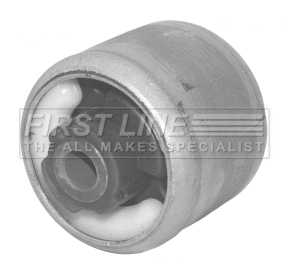 Bushing, axle beam (FSK6717)