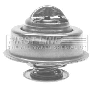 Thermostat, coolant (FTS165.87)