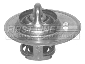 Thermostat, coolant (FTS207.82)