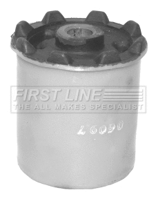 Bushing, axle beam (FSK6649)