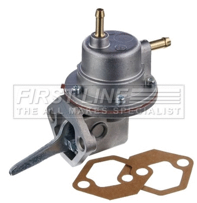Fuel Pump (FFP483)