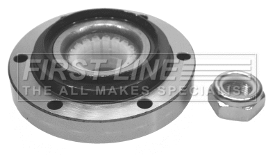 Wheel Bearing Kit (FBK071)