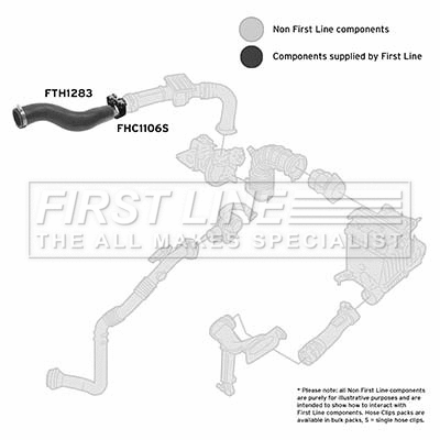 Charge Air Hose (FTH1283)