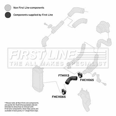 Charge Air Hose (FTH1113)