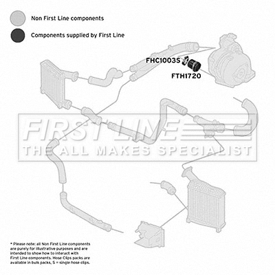 Charge Air Hose (FTH1720)