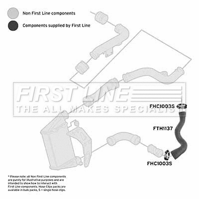 Charge Air Hose (FTH1137)