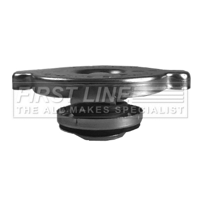 Cap, radiator (FRC87)