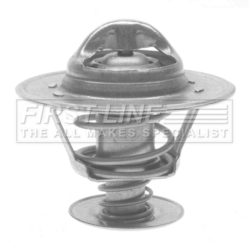 Thermostat, coolant (FTS206.82)