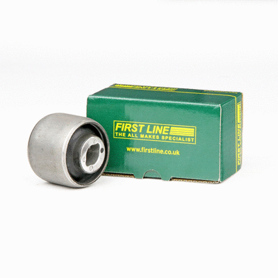 Mounting, control/trailing arm