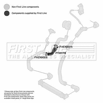 Charge Air Hose (FTH1178)