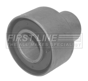 Bushing, axle beam (FSK6624)