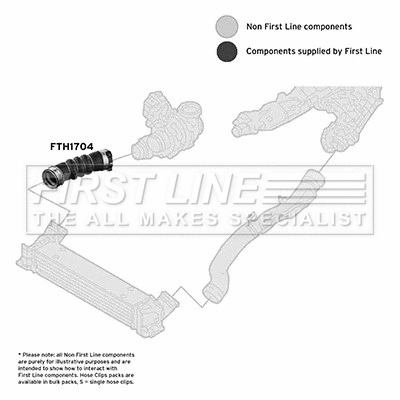 Charge Air Hose (FTH1704)