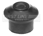 Mounting, engine (FEM3145)