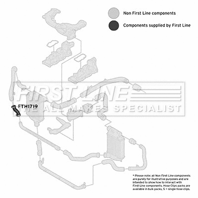 Charge Air Hose (FTH1719)