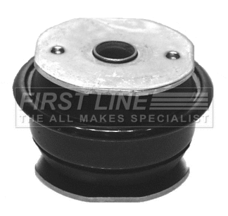 Bushing, axle bracket (FSM2028)