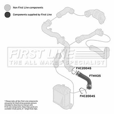 Charge Air Hose (FTH1135)
