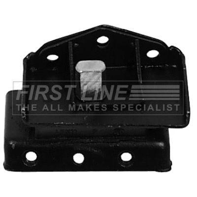 Bushing, axle bracket (FSM2014)