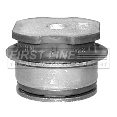 Bushing, axle bracket (FSM2004)