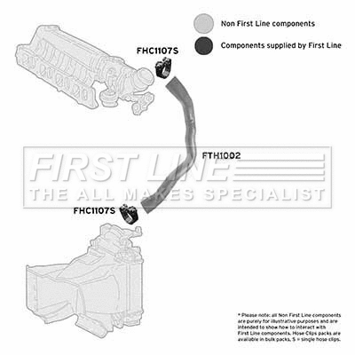 Charge Air Hose (FTH1002)