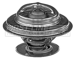 Thermostat, coolant (FTK369)
