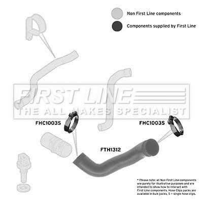 Charge Air Hose (FTH1312)