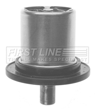 Thermostat, coolant (FTS369.82)