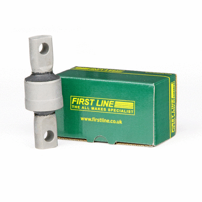 Mounting, control/trailing arm