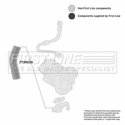 Charge Air Hose (FTH1009)