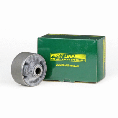 Mounting, control/trailing arm
