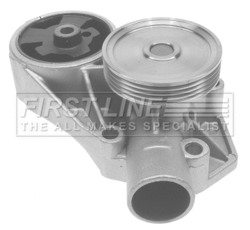 Water Pump, engine cooling (FWP1772)