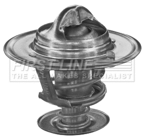 Thermostat, coolant (FTS153.88)