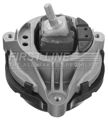 Mounting, engine (FEM4379)