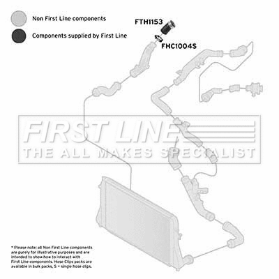Charge Air Hose (FTH1153)