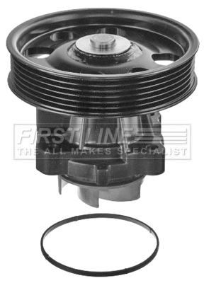 Water Pump, engine cooling (FWP2236P)