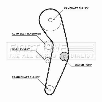 Water Pump & Timing Belt Kit (FTW1000)