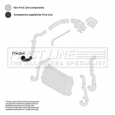 Charge Air Hose (FTH1384)