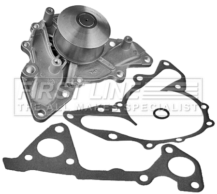 Water Pump, engine cooling (FWP2169)