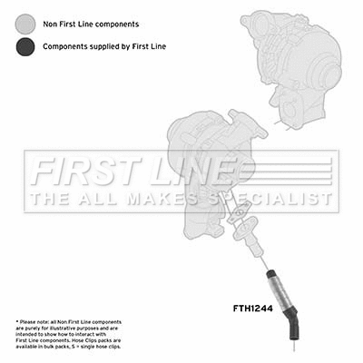 Charge Air Hose (FTH1244)