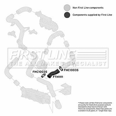 Charge Air Hose (FTH1111)