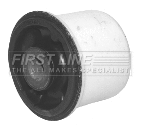Bushing, axle beam (FSK6621)