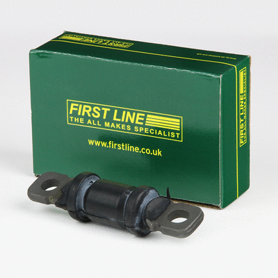 Mounting, control/trailing arm
