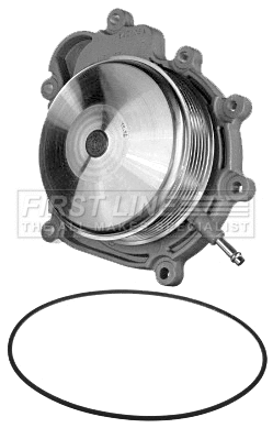 Water Pump, engine cooling (FWP2338)
