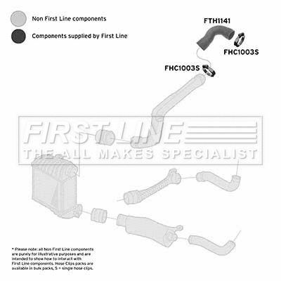 Charge Air Hose (FTH1141)